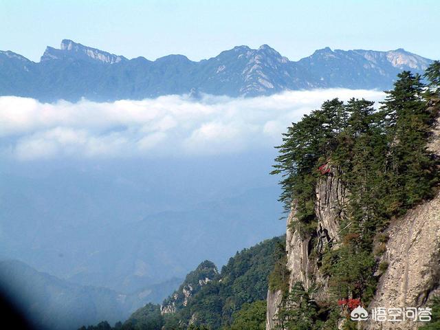 过完春节想去洛阳旅游，有哪些好的景点推荐？