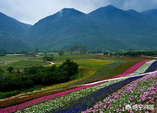 请问重庆什麽时候是适合旅游的季节？