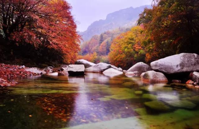 重庆的秋天哪里拍风景树叶好看？有哪些地方？
