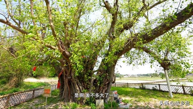广东省哪里的海景好玩？