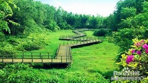 求广东茂名旅游攻略？