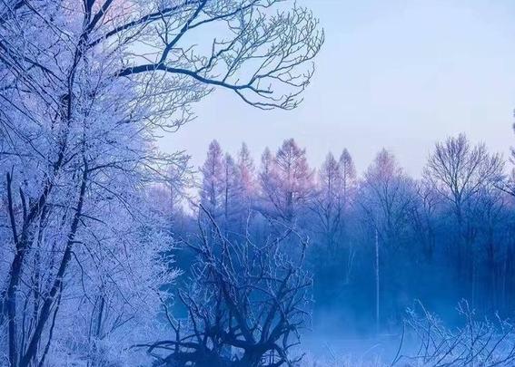 东北哪里的风景最好，最美的雪景在哪里？