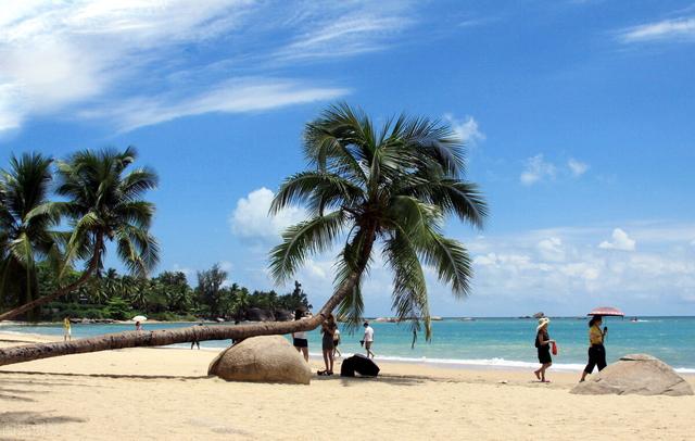 今年春节要不要去海南旅游？