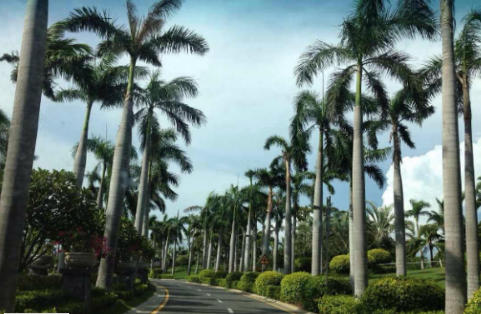 珠海旅游必去十大景点