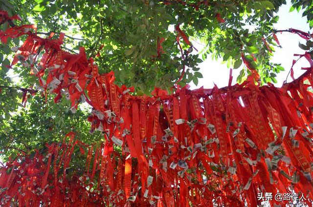 十一假期想去泰山游玩，怎么玩合理？需要注意些什么？