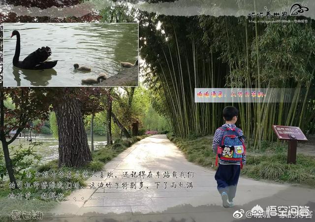 今年春节想去南京苏州上海过年，该怎么安排行程呢？