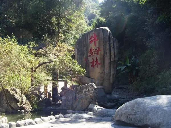 从厦门出发，在福建省内自驾可以怎么玩？