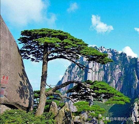你认为中国最值得游览的十大名山，说说理由？