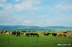 去内蒙古旅游，有什么好玩的地方值得推荐？