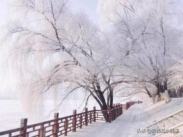 冬天零下20多度开车去东北旅游可以吗？要注意什么？