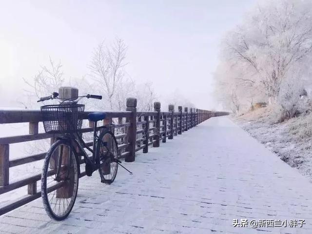 冬天零下20多度开车去东北旅游可以吗？要注意什么？