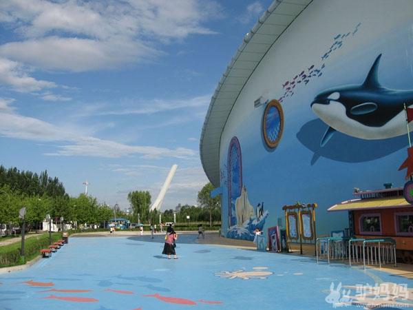 哈尔滨的冬季旅游有哪些亮点？