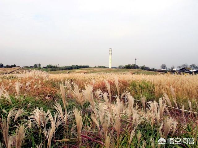 十一月份适合境外游的地方有哪些？