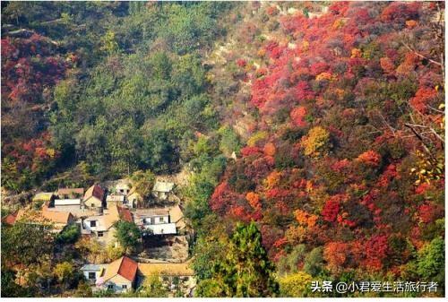 你知道山东12个五A级旅游景点分别是那几个吗？