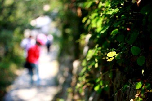 夏天打算去威海玩，计划去四天，有什么旅游攻略吗？