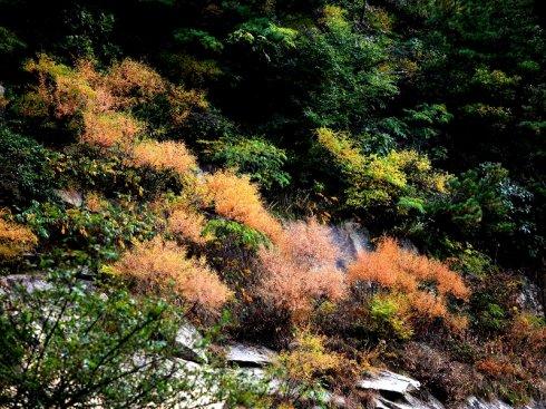 夏天打算去威海玩，计划去四天，有什么旅游攻略吗？