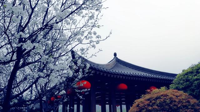 7月16号想带我儿子去西安玩玩，请问有哪些必去又好玩的景点呢？天气又如何？