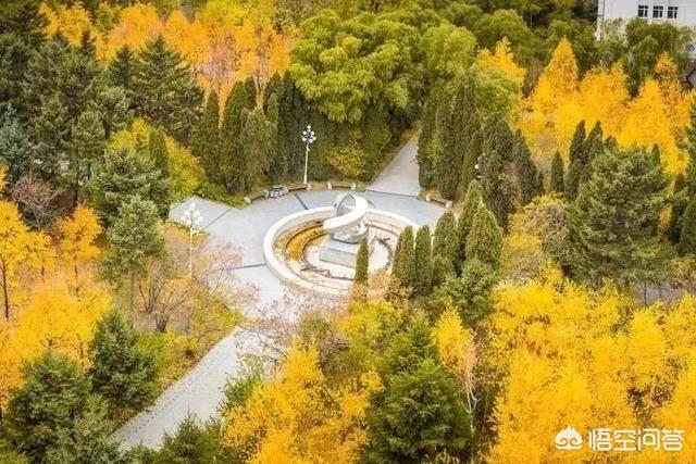 哈尔滨哪所大学秋季的景色最美？