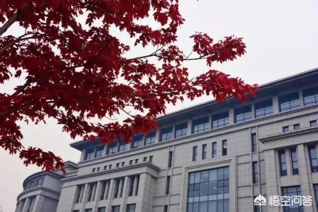 哈尔滨哪所大学秋季的景色最美？