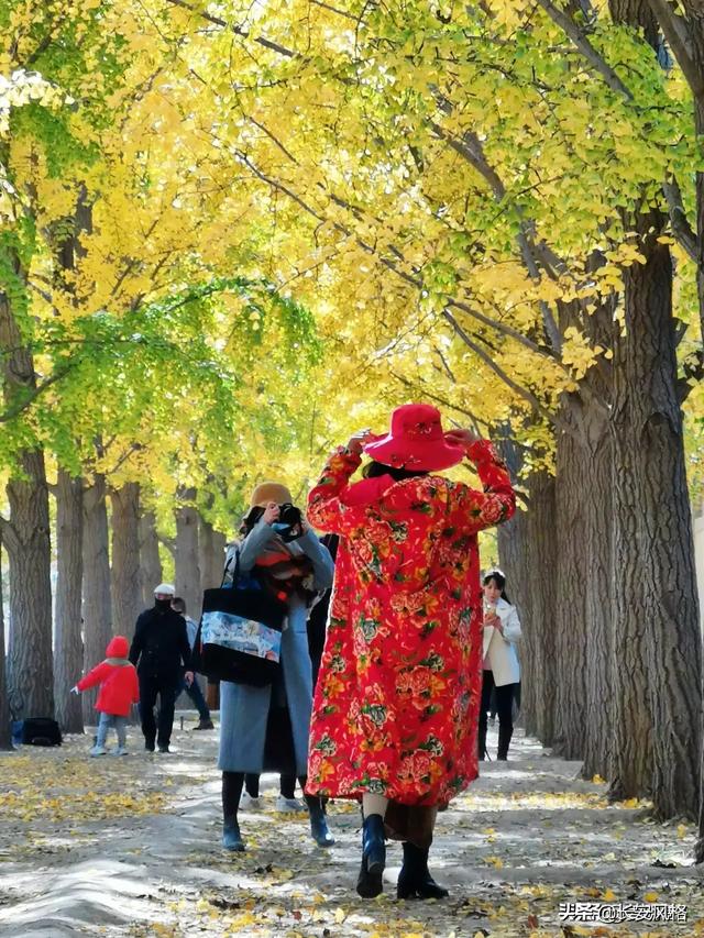 秋风秋叶知秋意，陕西哪里的景色可以看一看呢？