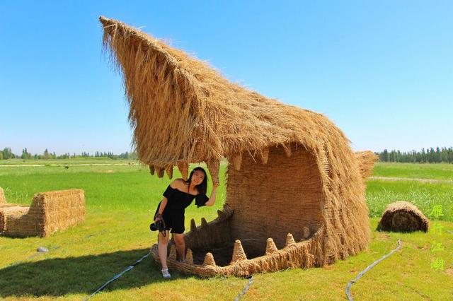 想去银川玩，去过的可以提供一下旅游攻略吗？