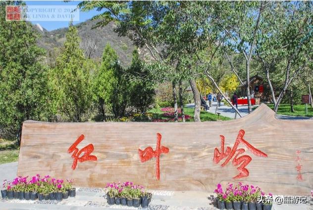 旅行准备中——去看红叶的最佳地方在哪里？什么时候去最好？