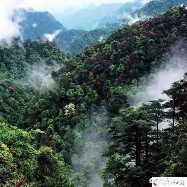 秋天的广州适合旅游吗？