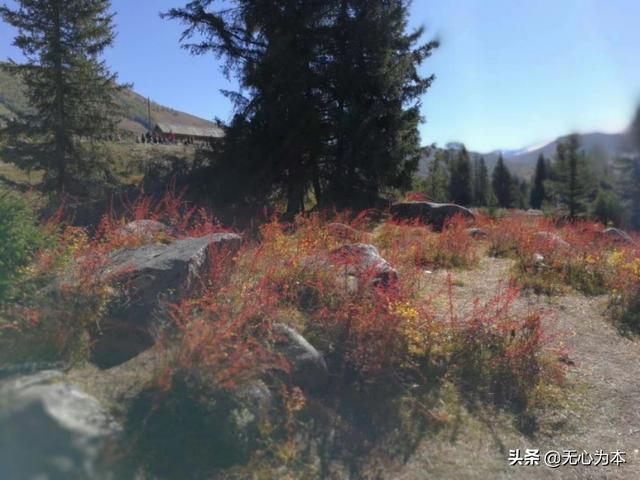 想去新疆自由行，有哪些好的景点推荐？最佳旅行时间是什么时候？