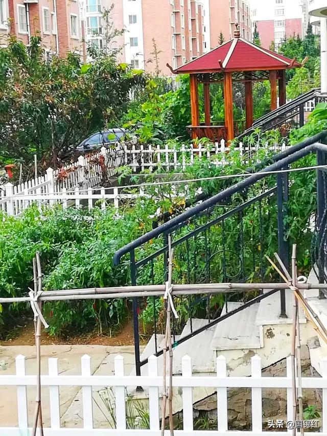 你能分享一下田园风景图片吗？