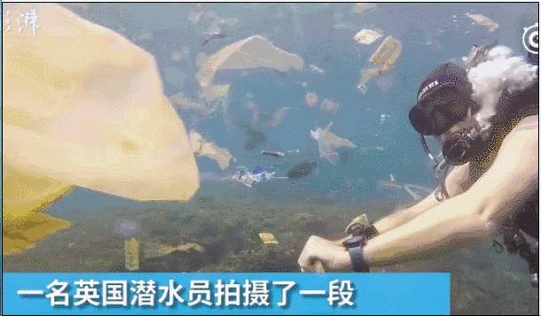 想去东南亚旅行，去哪里才能不踩雷？