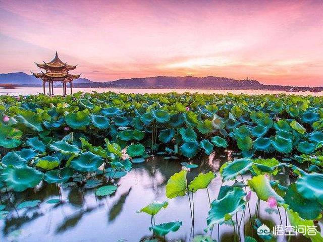 想去浙江旅游，有什么推荐的景点和美食？