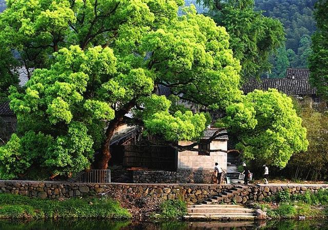 浙江有哪些人少景美的自然风光景点？
