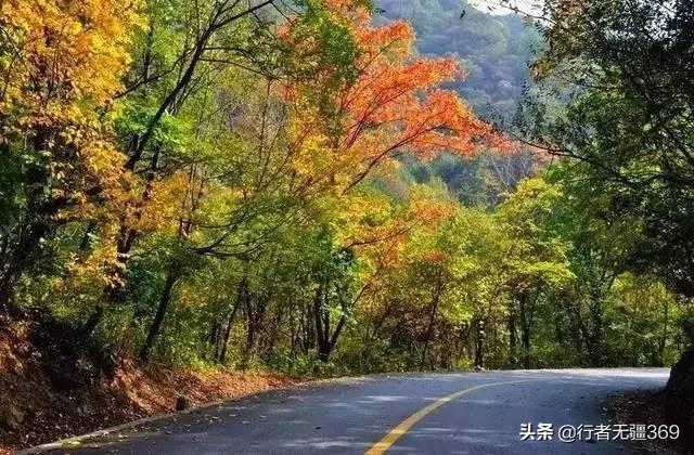 从郑州出发自驾秦岭赏红叶走省道环线，不限时间，该怎么走？