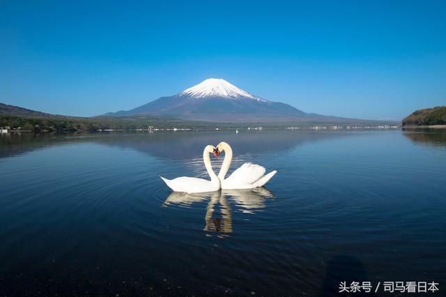有什么好的东京旅游攻略？另外签证如何申请？