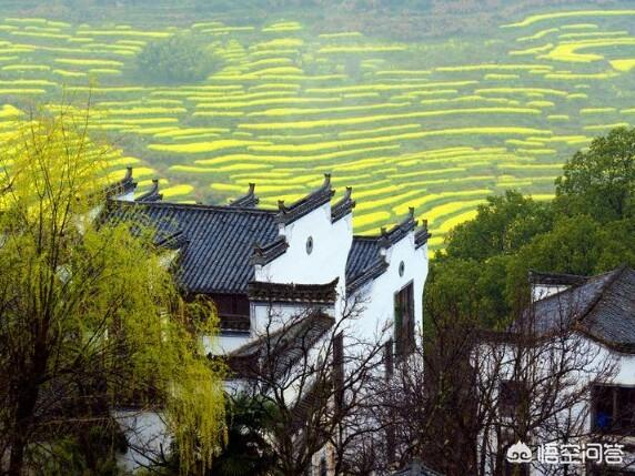 人在江西，暑假想出去旅行几日，有没有什么好的攻略？