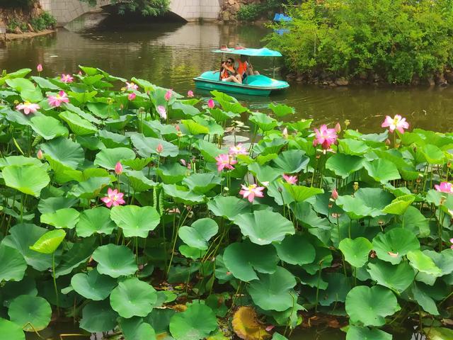 想去大连旅游三天，有哪些性价比高的旅游线路推荐？