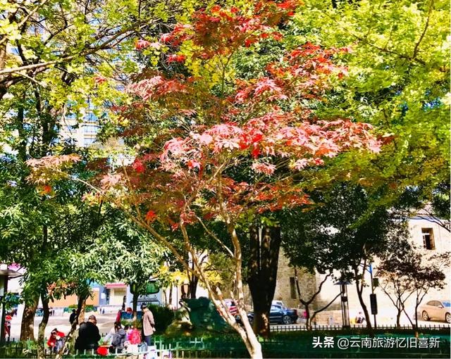 昆明冬天冷吗？昆明普通市民冬天是如何休闲旅游的？