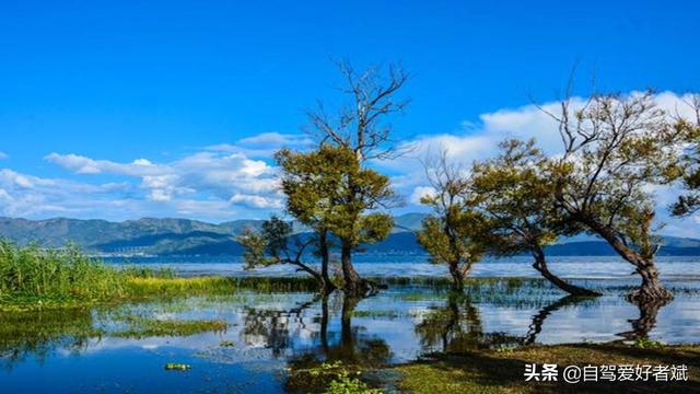 旅游小白跪求一条云南旅游最全攻略（第一次一个人旅游，性别女）时间消费什么的可以忽略舒服就行？