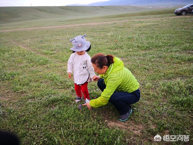 夏天这么热，带孩子出远门旅游，你觉得是不是找罪受？