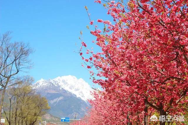 2019春节去哪旅游比较好？