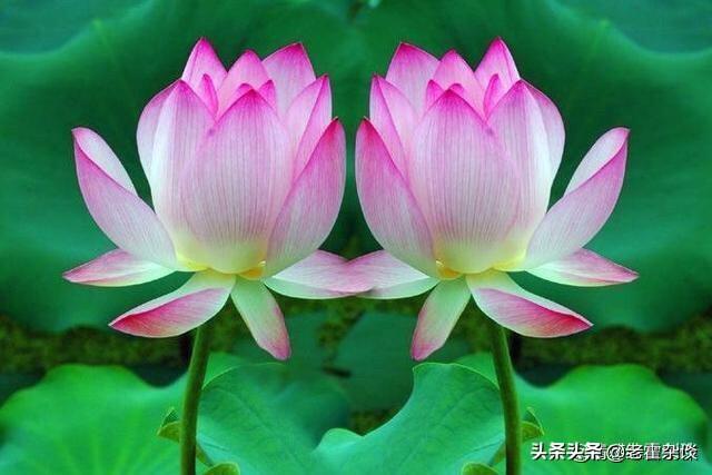 韩国旅行必须准备哪些东西？