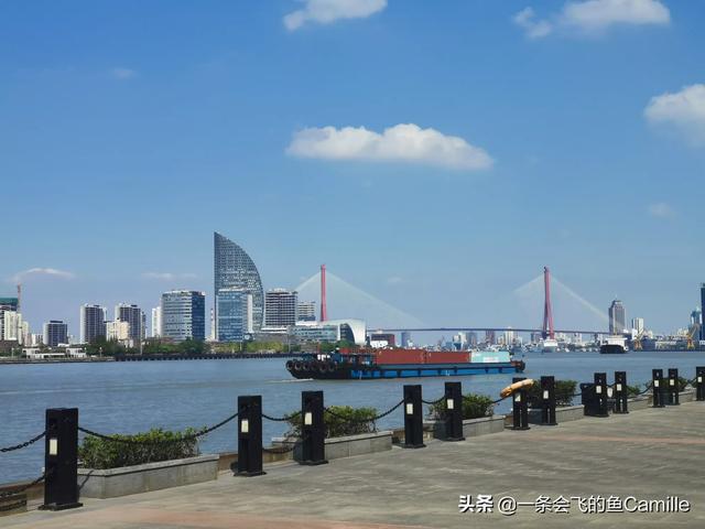 想请问上海有哪些免费又比较值得一去的游玩景点呢？