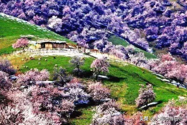 冬天去新疆旅游应该注意些什么？