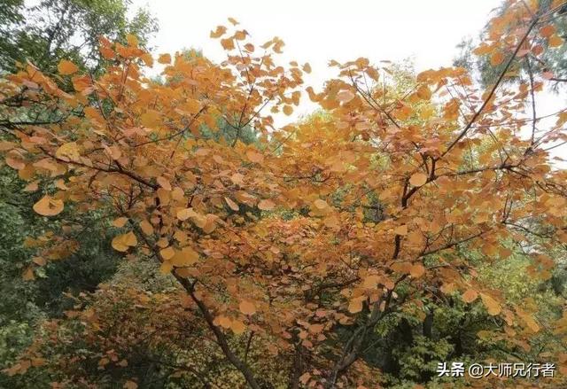 十月份有那些旅游目的地，出发地在山西？