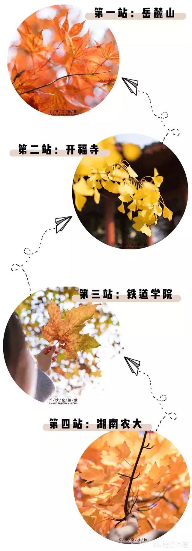 长沙的秋天有多美？