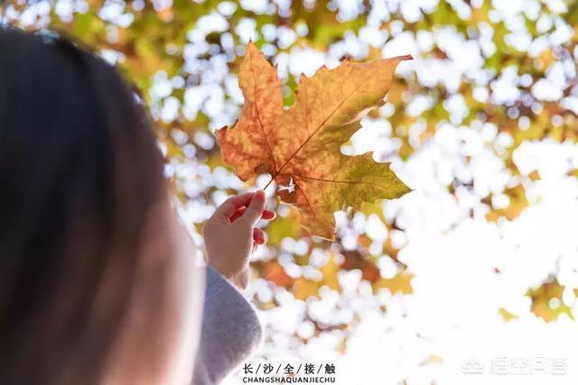 长沙的秋天有多美？