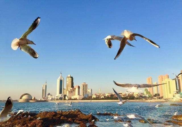 五一去山东玩，山东的哪个旅游景点最好？