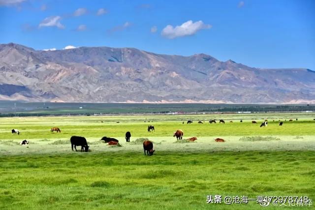 夏天国内都有哪些避暑休闲的好地方？