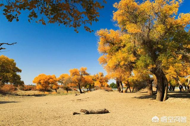 2018年秋天你最想去的旅游、摄影地点是哪里？