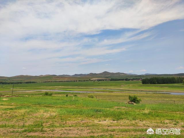8月准备自驾游，锦州出发，途径阿尔山、满洲里、北极村、漠河、黑河，求攻略？